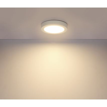 Globo - LED Φωτιστικό οροφής μπάνιου LED/18W/230V IP44