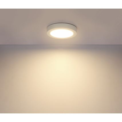 Globo - Φως οροφής μπάνιου LED 1xLED/18W/230V IP44