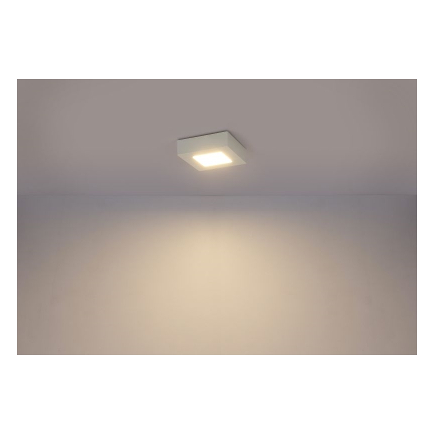 Globo - Φωτιστικό οροφής LED SVENJA 1xLED/9W/230V 3000/4000/6000K