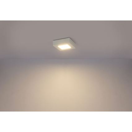 Globo - Φωτιστικό οροφής LED SVENJA 1xLED/9W/230V 3000/4000/6000K