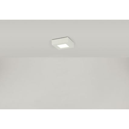 Globo - Φωτιστικό οροφής LED SVENJA 1xLED/9W/230V 3000/4000/6000K