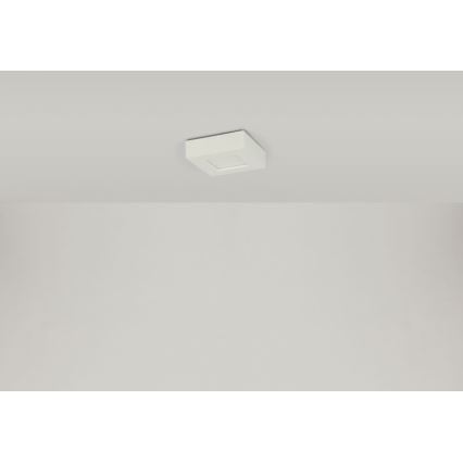 Globo - Φωτιστικό οροφής LED SVENJA 1xLED/9W/230V 3000/4000/6000K