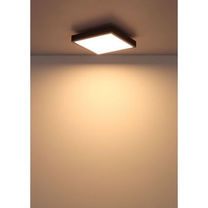 Globo - Φωτιστικό οροφής LED LED/12W/230V 3000K 30x30 cm