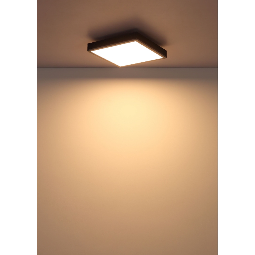 Globo - Φωτιστικό οροφής LED LED/12W/230V 3000K 30x30 cm