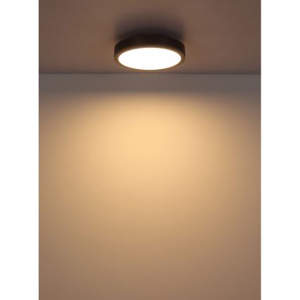 Globo - Φωτιστικό οροφής LED LED/12W/230V 3000K διάμετρος 30 cm
