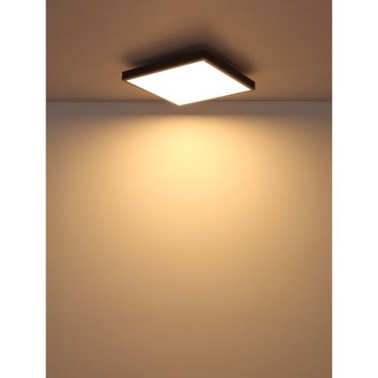 Globo - Φωτιστικό οροφής LED LED/24W/230V 3000K 45x45 cm