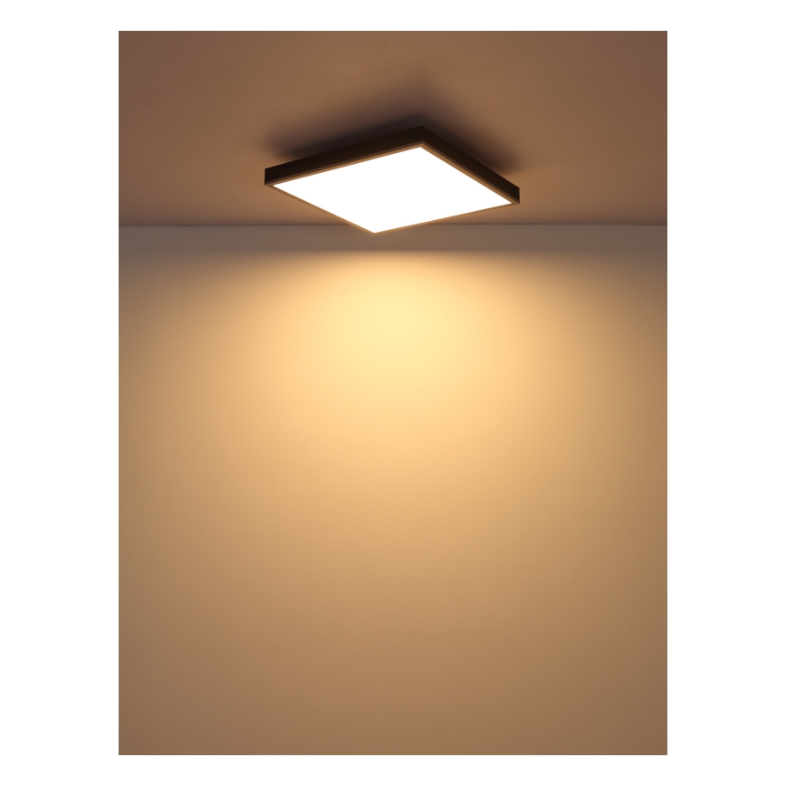 Globo - Φωτιστικό οροφής LED LED/24W/230V 3000K 45x45 cm