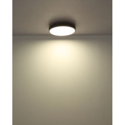 Globo - Ρυθμιζόμενο φωτιστικό οροφής LED/24W/230V 2700-6500K διάμ. 45 cm + τηλεχειριστήριο