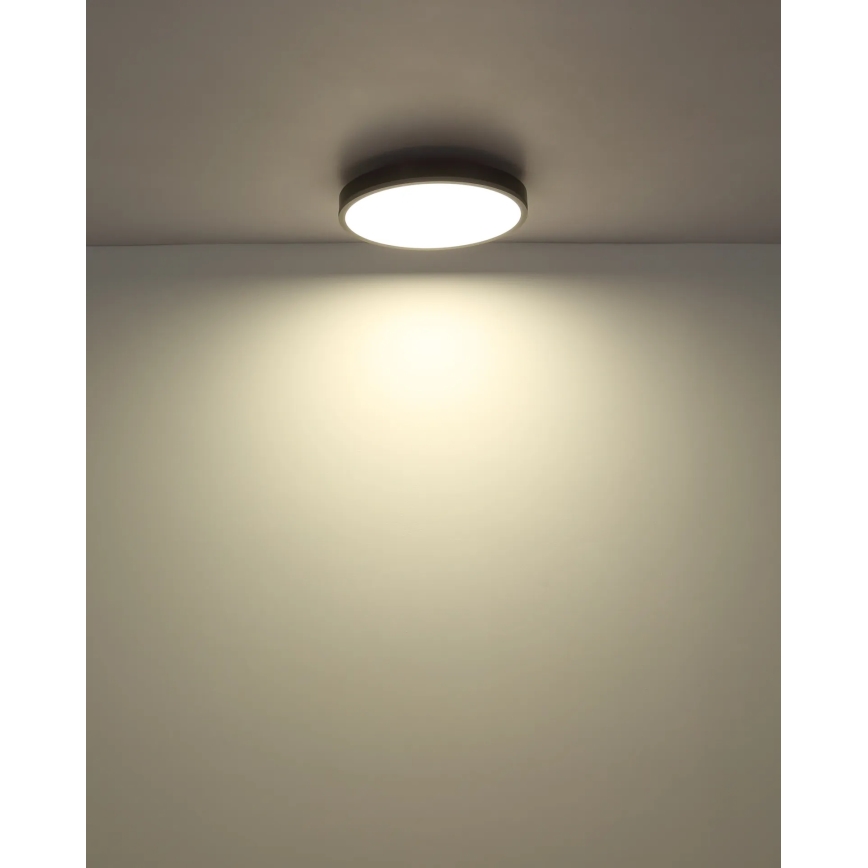 Globo - Ρυθμιζόμενο φωτιστικό οροφής LED/24W/230V 2700-6500K διάμ. 45 cm + τηλεχειριστήριο