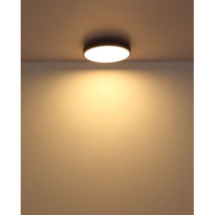 Globo - Φωτιστικό οροφής LED LED/24W/230V 3000K διάμετρος 45 cm