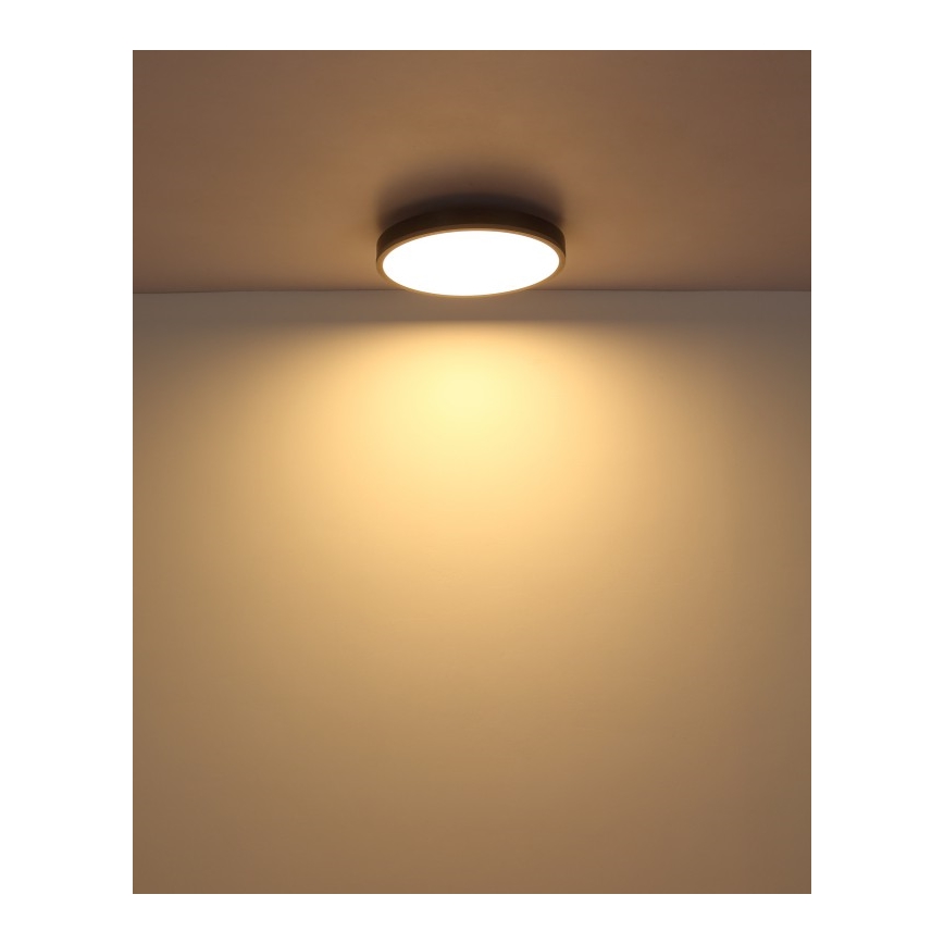 Globo - Φωτιστικό οροφής LED LED/24W/230V 3000K διάμετρος 45 cm