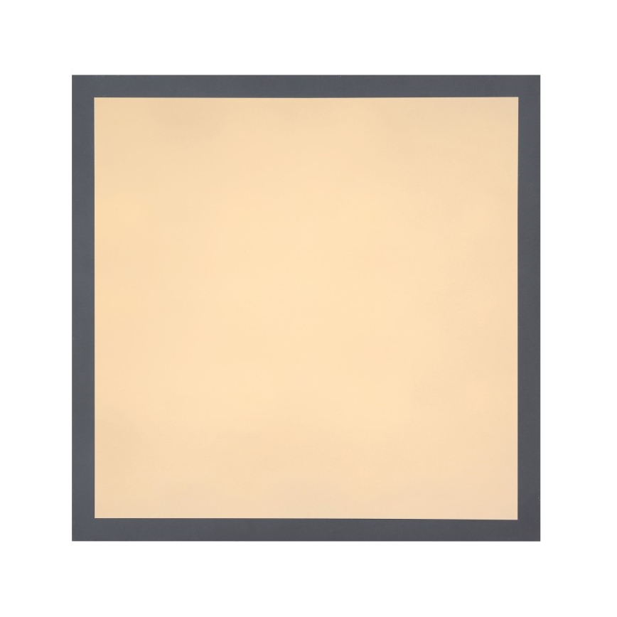 Globo - LED Φωτιστικό οροφής LED/12W + LED/4W/230V