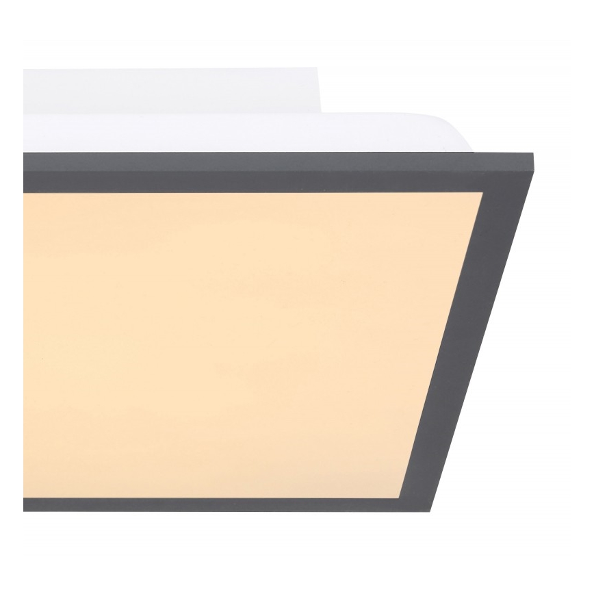 Globo - LED Φωτιστικό οροφής LED/12W + LED/4W/230V
