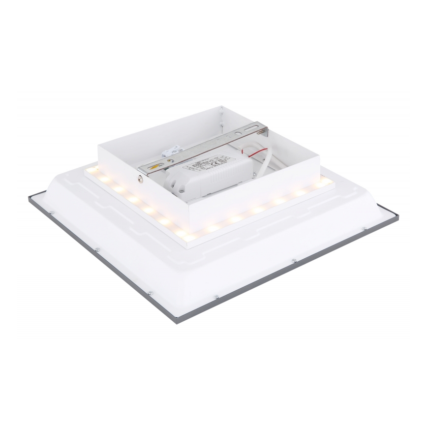Globo - LED Φωτιστικό οροφής LED/12W + LED/4W/230V