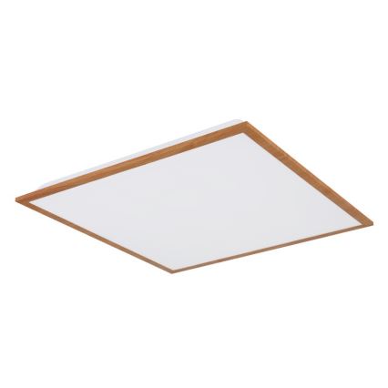 Globo - LED Φωτιστικό οροφής LED/24W/230V