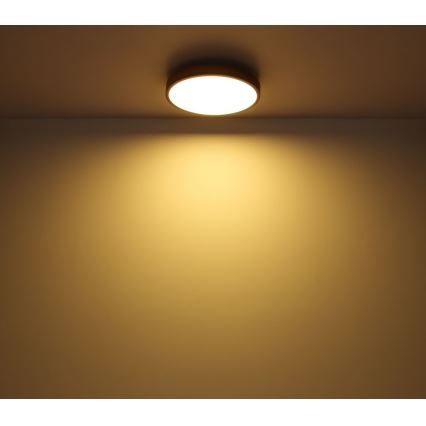 Globo - LED Φωτιστικό οροφής LED/12W/230V δ. 30 cm