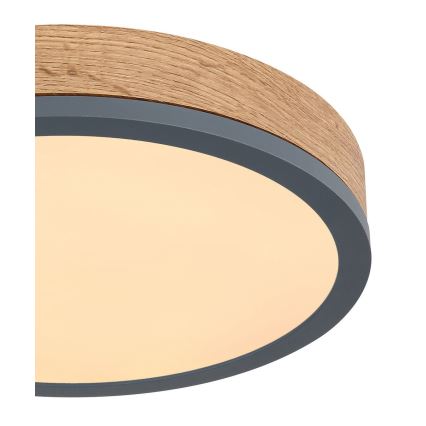 Globo - LED Φωτιστικό οροφής LED/12W/230V δ. 30 cm