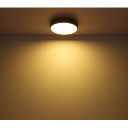 Globo - LED Φωτιστικό οροφής LED/12W/230V δ. 30 cm