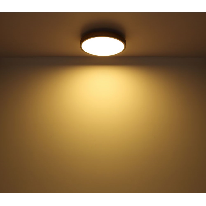 Globo - LED Φωτιστικό οροφής LED/12W/230V δ. 30 cm