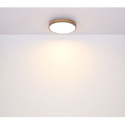 Globo - LED Φωτιστικό οροφής LED/12W/230V δ. 30 cm