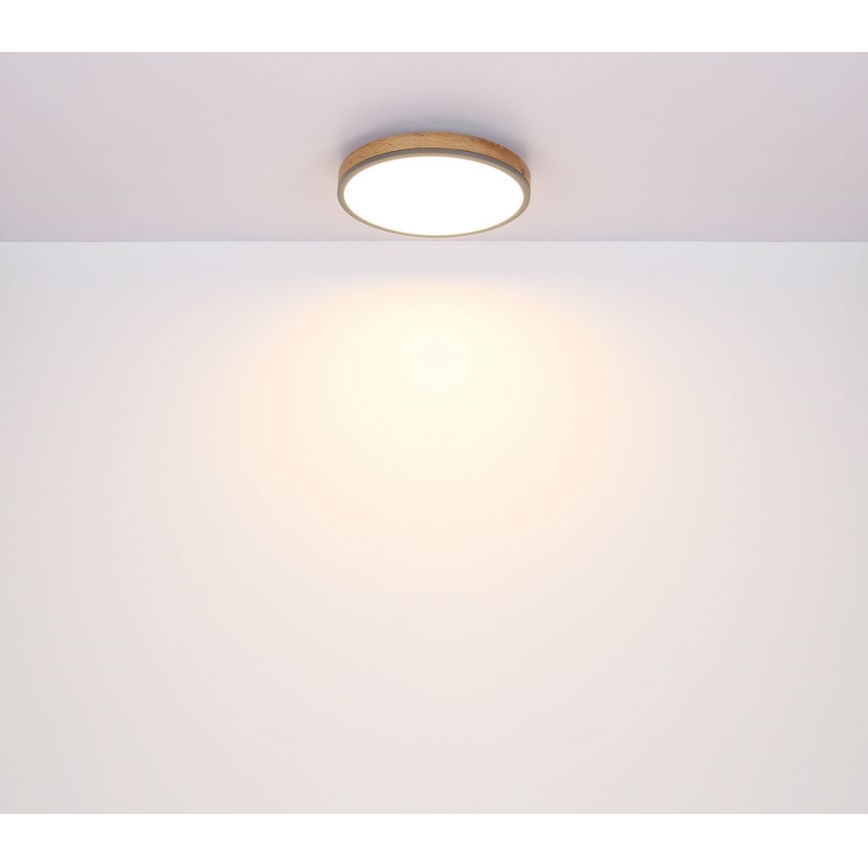 Globo - LED Φωτιστικό οροφής LED/12W/230V δ. 30 cm