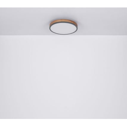 Globo - LED Φωτιστικό οροφής LED/12W/230V δ. 30 cm