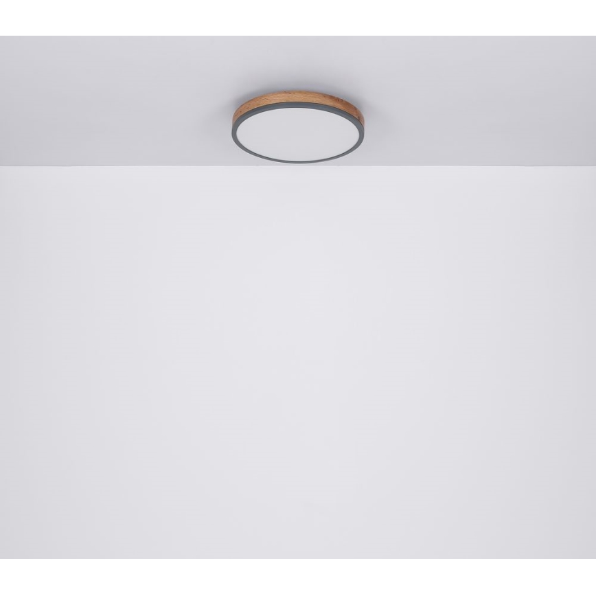 Globo - LED Φωτιστικό οροφής LED/12W/230V δ. 30 cm