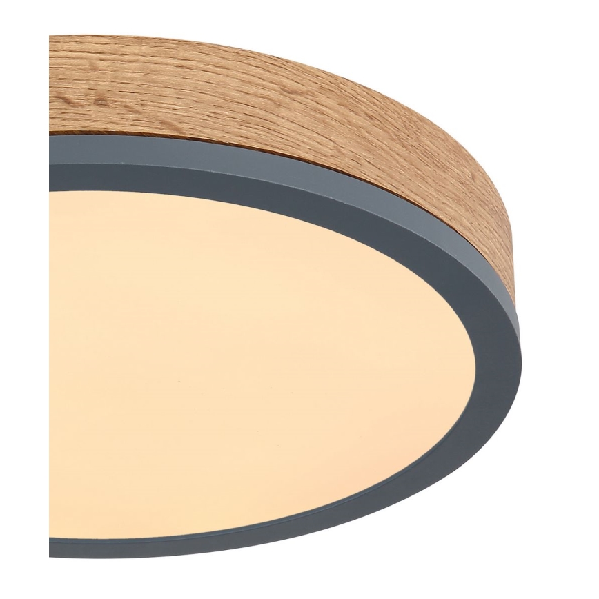 Globo - LED Φωτιστικό οροφής LED/12W/230V δ. 30 cm
