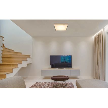 Globo - LED Ρυθμιζόμενο φωτιστικό οροφής LED/24W/230V 3000-6500K 45x45 cm