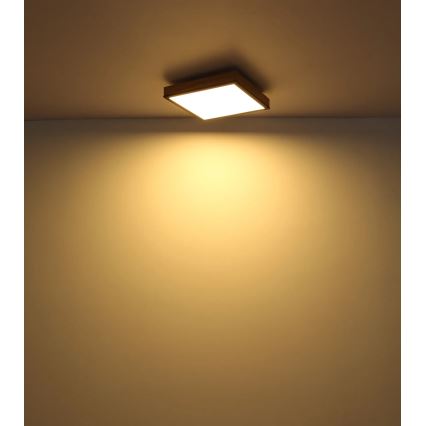 Globo - LED Ρυθμιζόμενο φωτιστικό οροφής LED/24W/230V 3000-6500K 45x45 cm