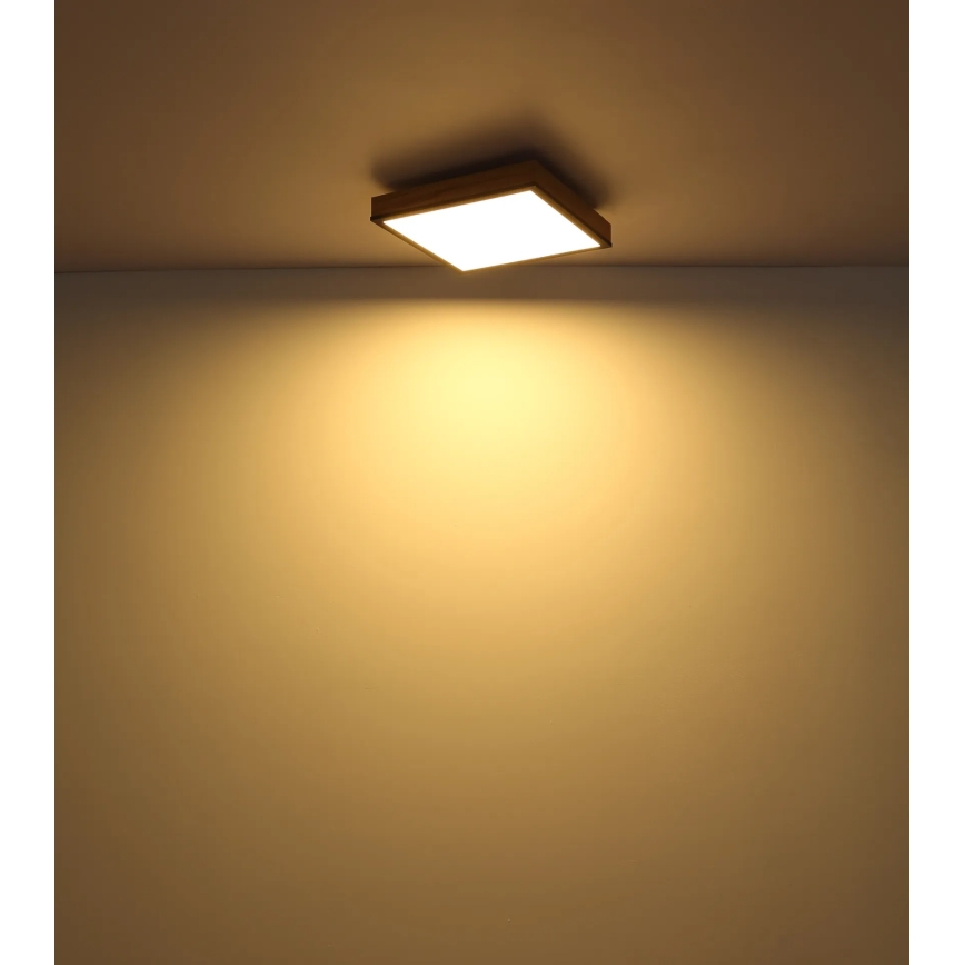 Globo - LED Ρυθμιζόμενο φωτιστικό οροφής LED/24W/230V 3000-6500K 45x45 cm