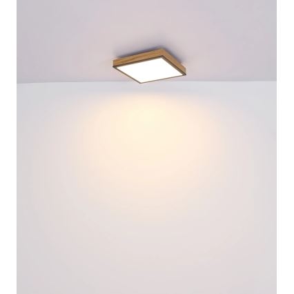 Globo - LED Ρυθμιζόμενο φωτιστικό οροφής LED/24W/230V 3000-6500K 45x45 cm