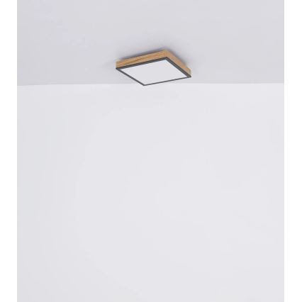 Globo - LED Ρυθμιζόμενο φωτιστικό οροφής LED/24W/230V 3000-6500K 45x45 cm