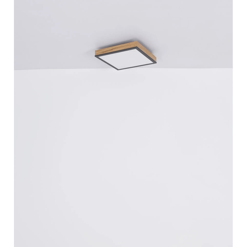 Globo - LED Ρυθμιζόμενο φωτιστικό οροφής LED/24W/230V 3000-6500K 45x45 cm
