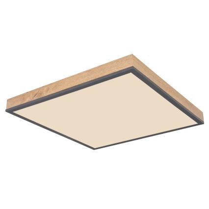 Globo - LED Ρυθμιζόμενο φωτιστικό οροφής LED/24W/230V 3000-6500K 45x45 cm