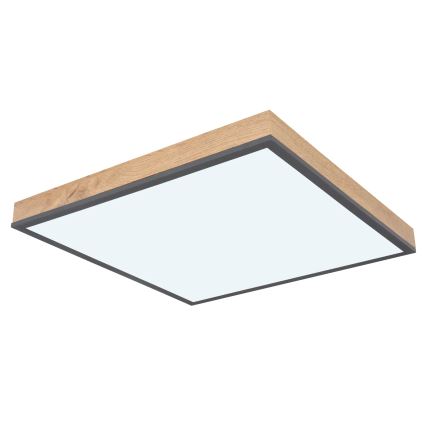 Globo - LED Ρυθμιζόμενο φωτιστικό οροφής LED/24W/230V 3000-6500K 45x45 cm