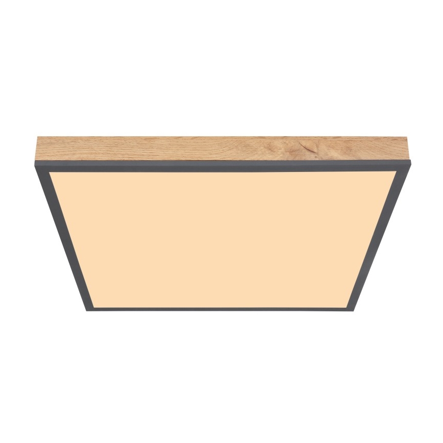 Globo - LED Φωτιστικό οροφής LED/24W/230V