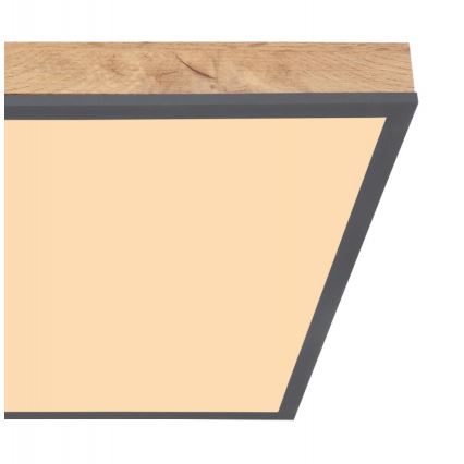 Globo - LED Φωτιστικό οροφής LED/24W/230V