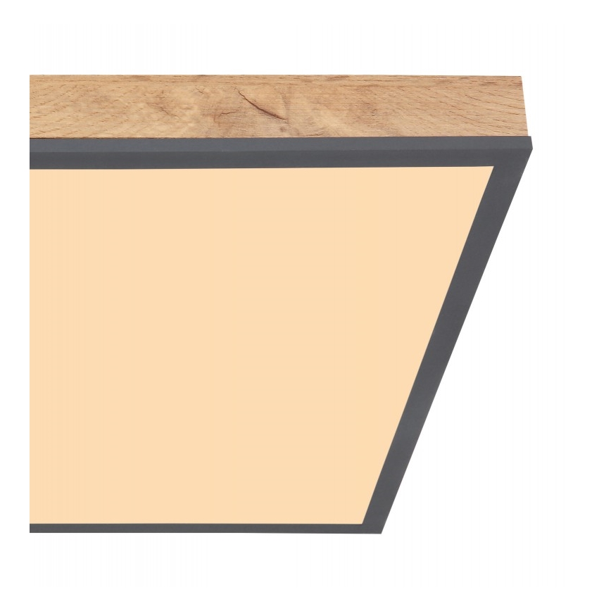 Globo - LED Φωτιστικό οροφής LED/24W/230V