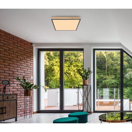 Globo - LED Φωτιστικό οροφής LED/24W/230V