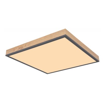 Globo - LED Φωτιστικό οροφής LED/24W/230V