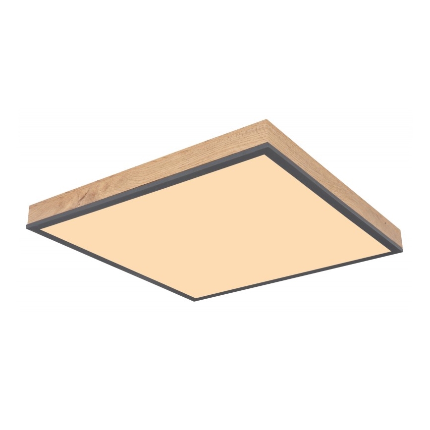Globo - LED Φωτιστικό οροφής LED/24W/230V