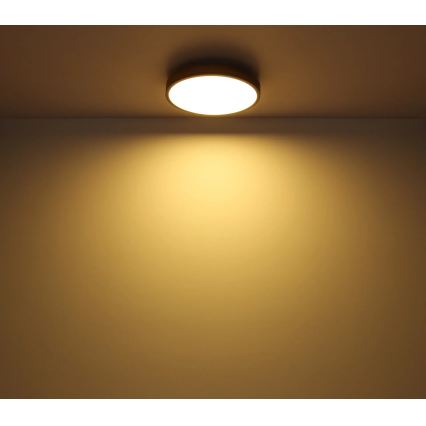 Globo - Ρυθμιζόμενο φωτιστικό οροφής LED/24W/230V 2700-6500K διάμ. 45 cm