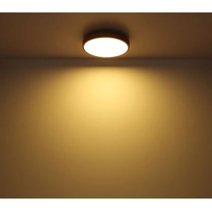 Globo - Ρυθμιζόμενο φωτιστικό οροφής LED/24W/230V 3000-6500K Ø 45 cm