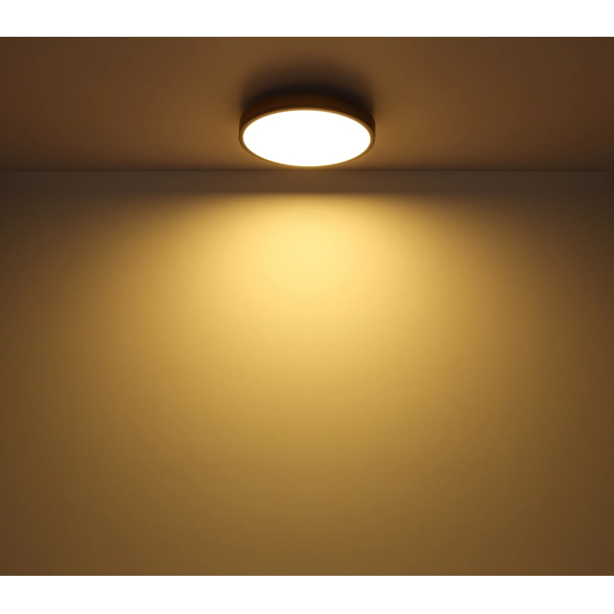 Globo - Ρυθμιζόμενο φωτιστικό οροφής LED/24W/230V 3000-6500K Ø 45 cm