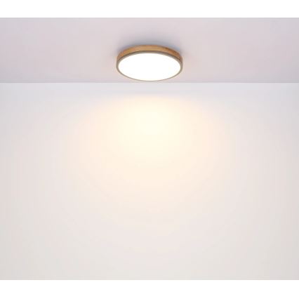 Globo - Ρυθμιζόμενο φωτιστικό οροφής LED/24W/230V 3000-6500K Ø 45 cm