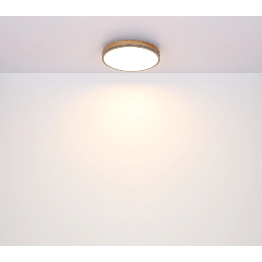 Globo - Ρυθμιζόμενο φωτιστικό οροφής LED/24W/230V 3000-6500K Ø 45 cm