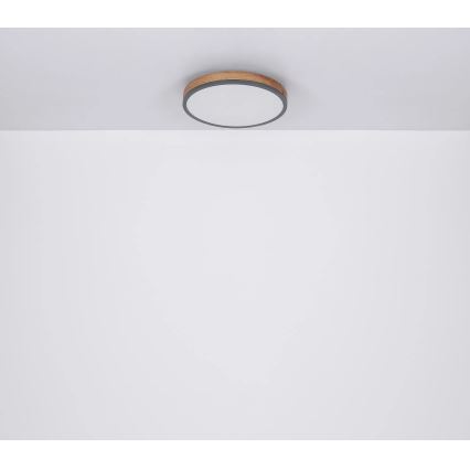Globo - Ρυθμιζόμενο φωτιστικό οροφής LED/24W/230V 3000-6500K Ø 45 cm