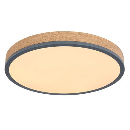 Globo - Ρυθμιζόμενο φωτιστικό οροφής LED/24W/230V 3000-6500K Ø 45 cm