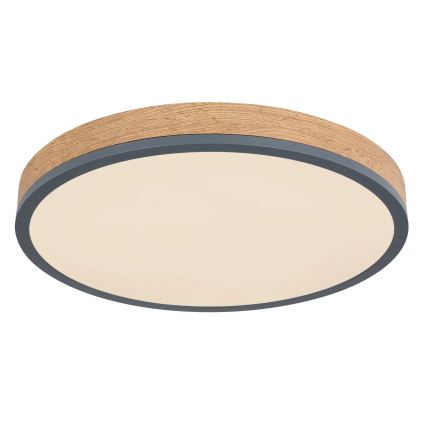Globo - Ρυθμιζόμενο φωτιστικό οροφής LED/24W/230V 3000-6500K Ø 45 cm